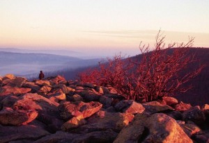 Lusen bei Sonnenaufgang