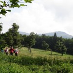 Blick auf Rachel