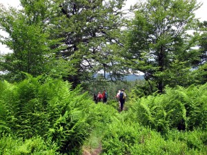Grenzüberschreitende Wildniswanderung