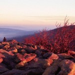Lusen bei Sonnenaufgang