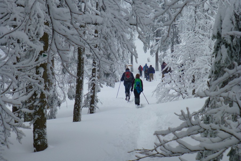 Schneeschuhwandern