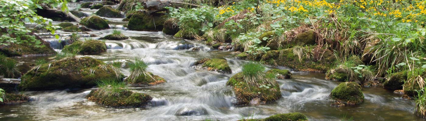 An wilden Wassern wandern